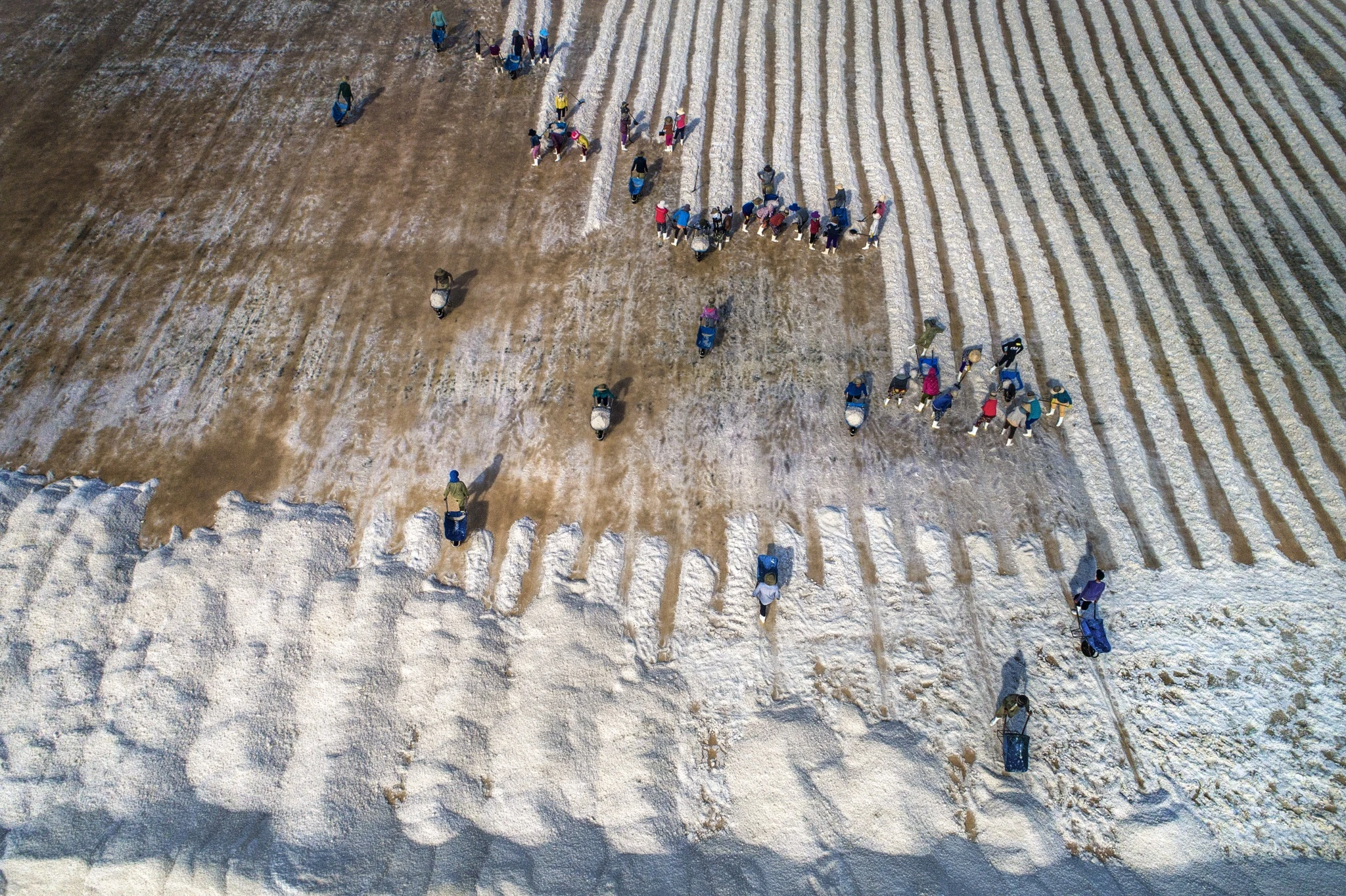 du lich Ninh Thuan anh 22