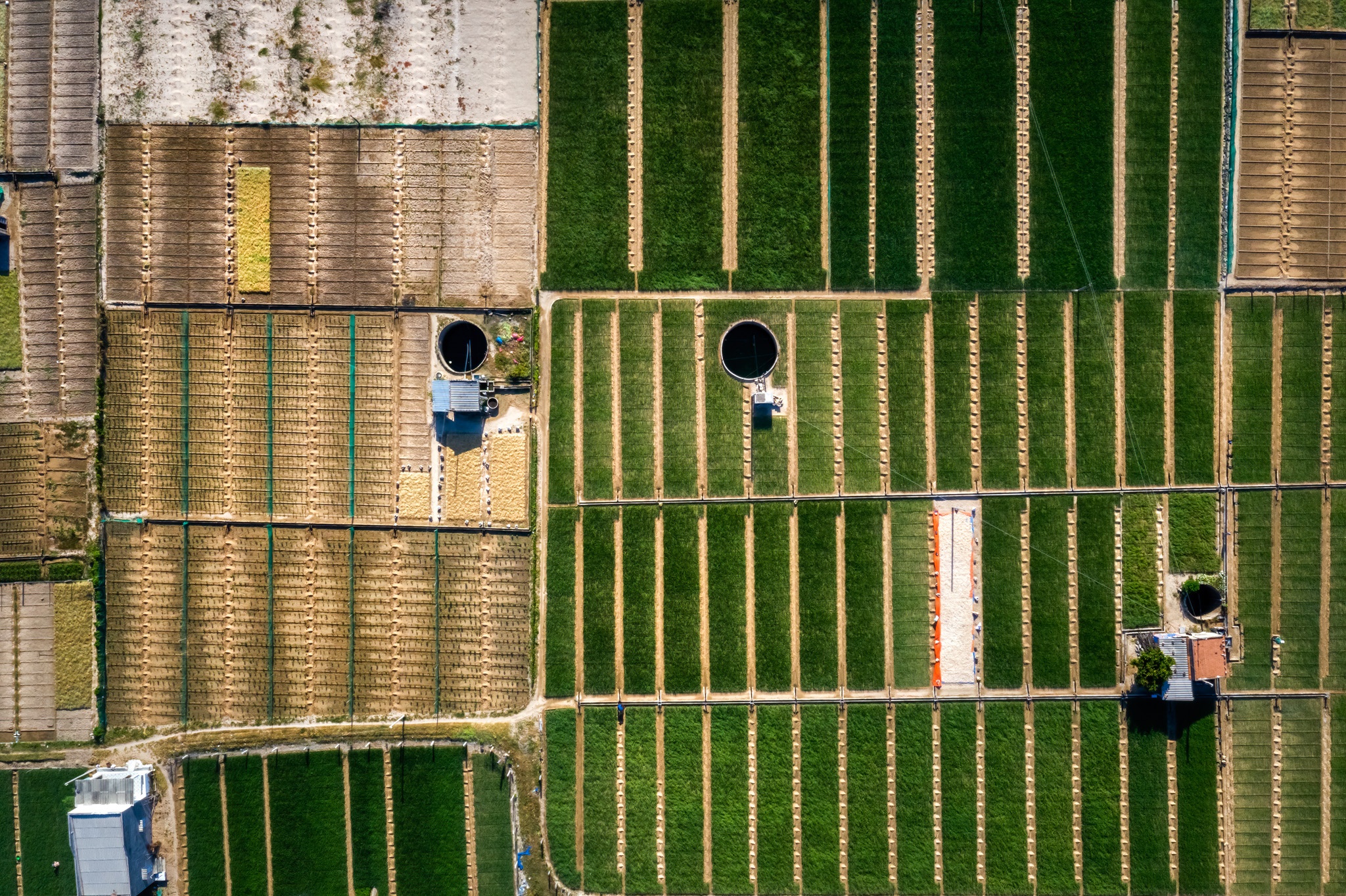 du lich Ninh Thuan anh 23