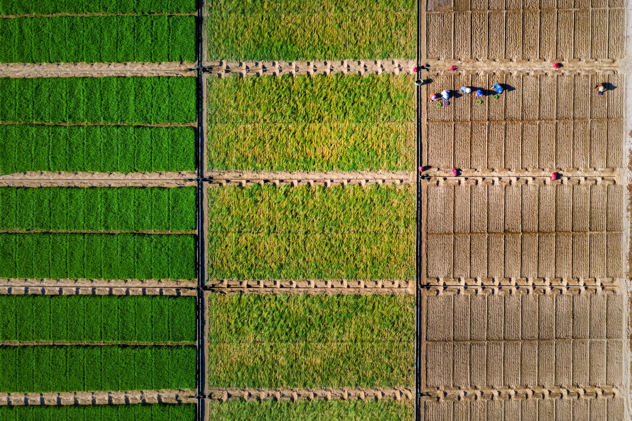 du lich Ninh Thuan anh 24