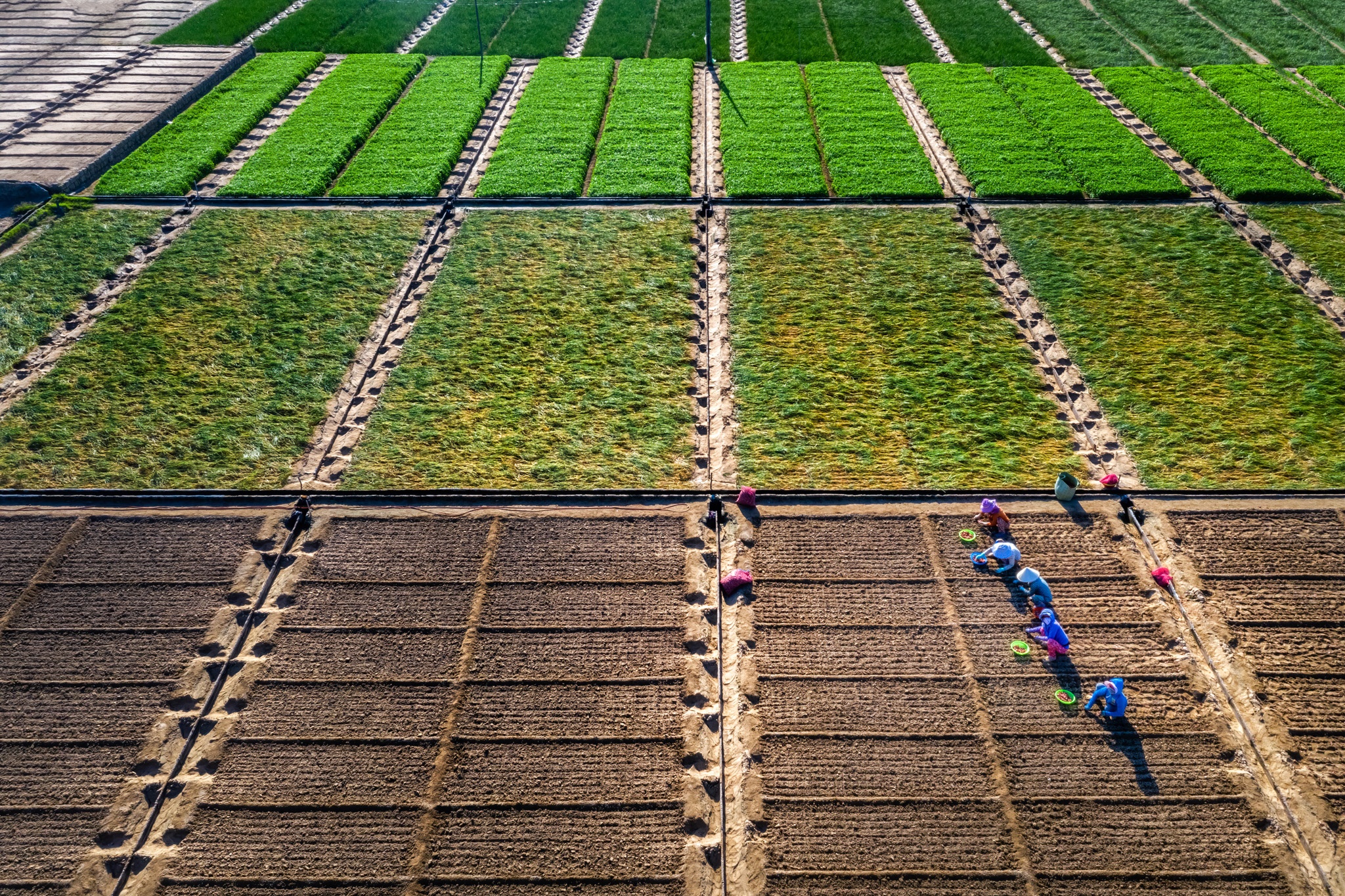 du lich Ninh Thuan anh 26