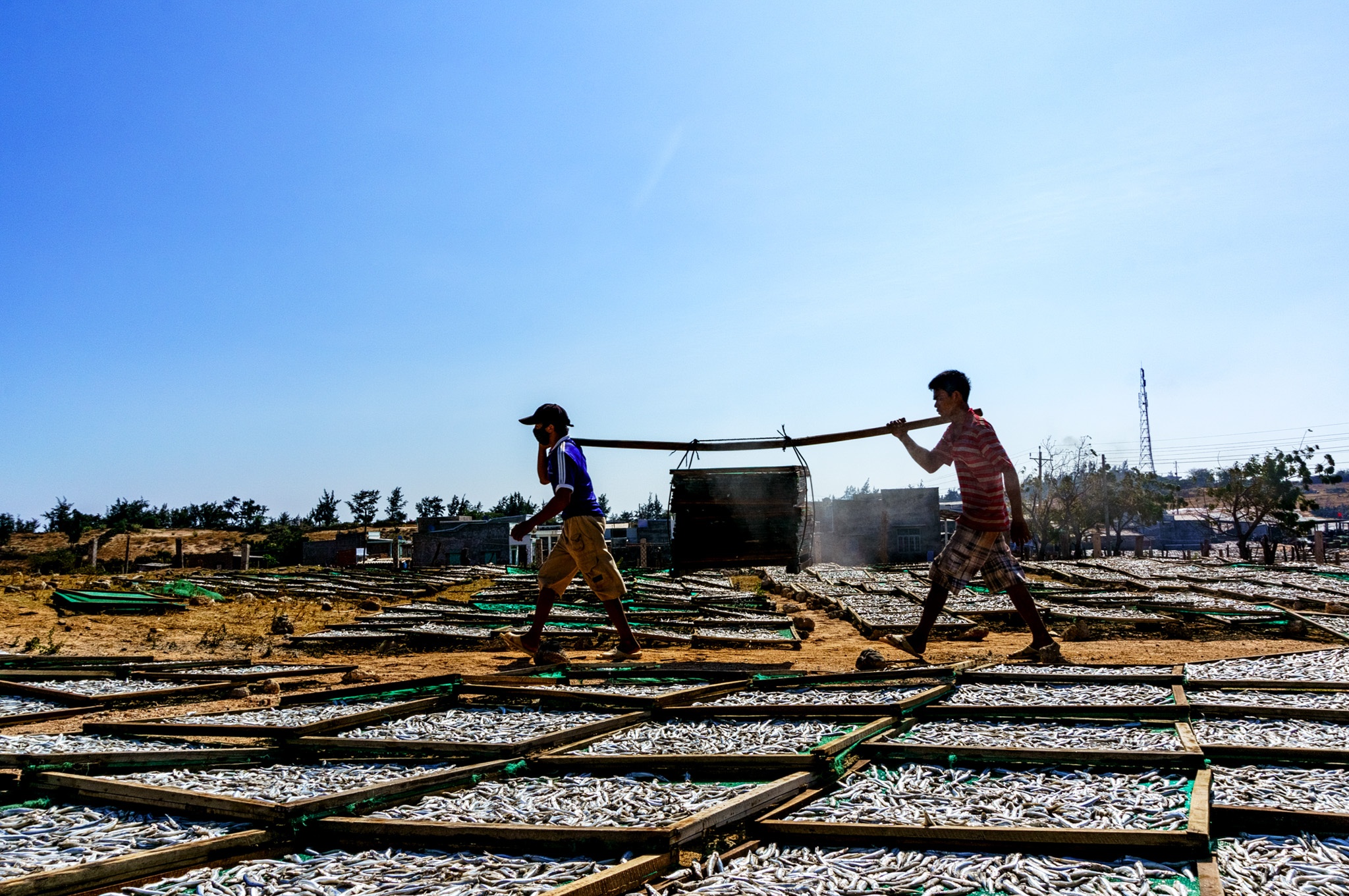 du lich Ninh Thuan anh 28