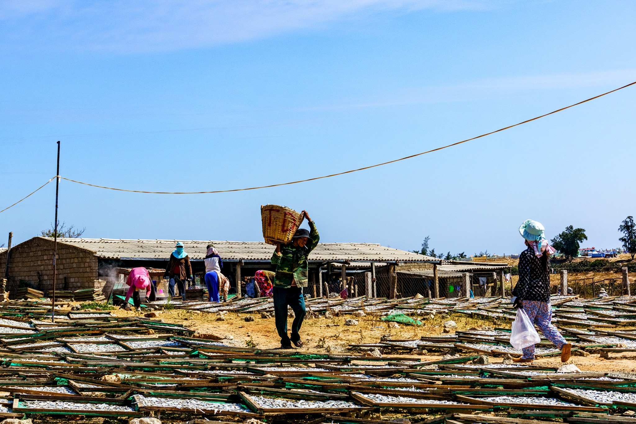 du lich Ninh Thuan anh 29