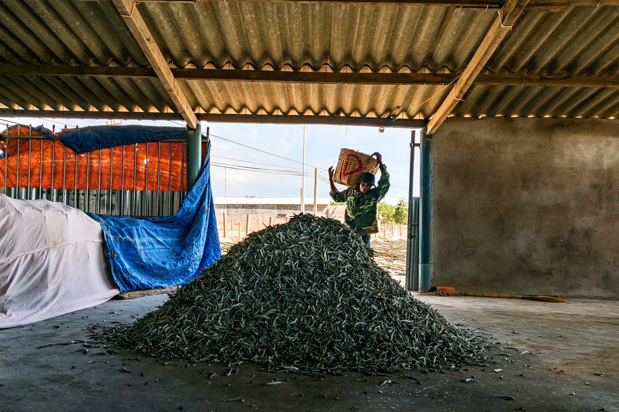 du lich Ninh Thuan anh 30