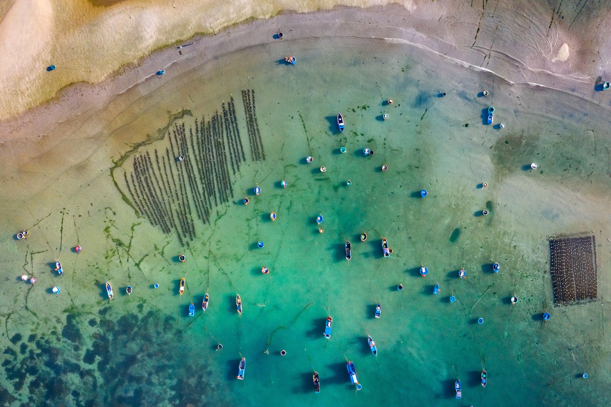 du lich Ninh Thuan anh 16