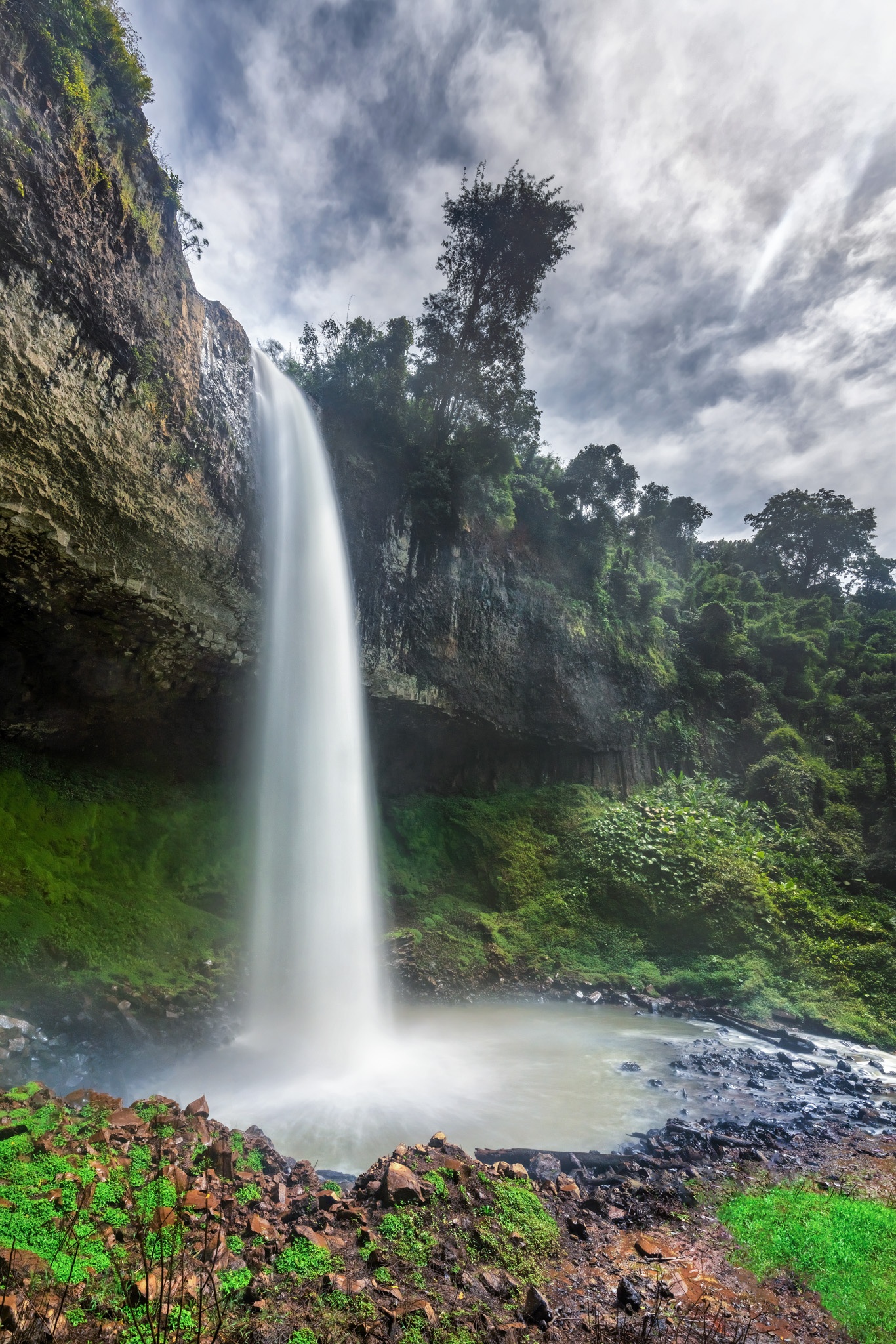 nui rung Tay Nguyen anh 7