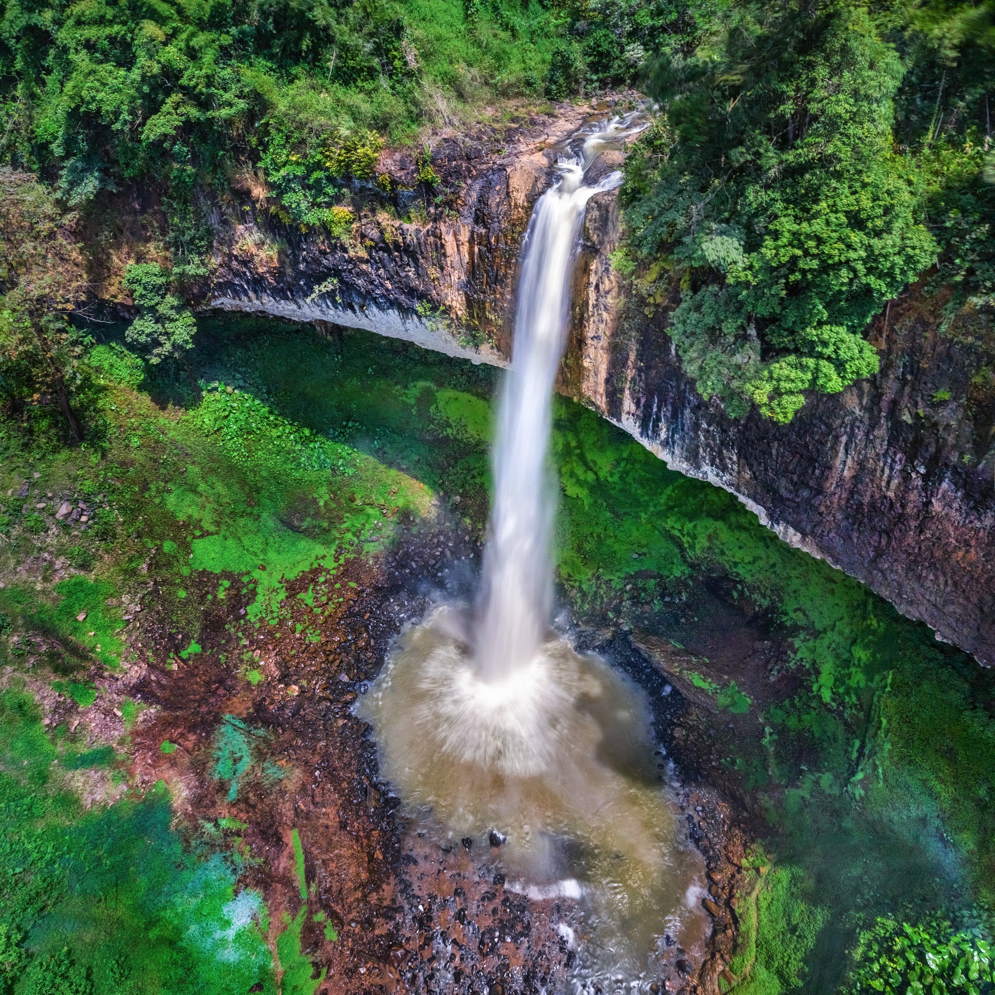 nui rung Tay Nguyen anh 8