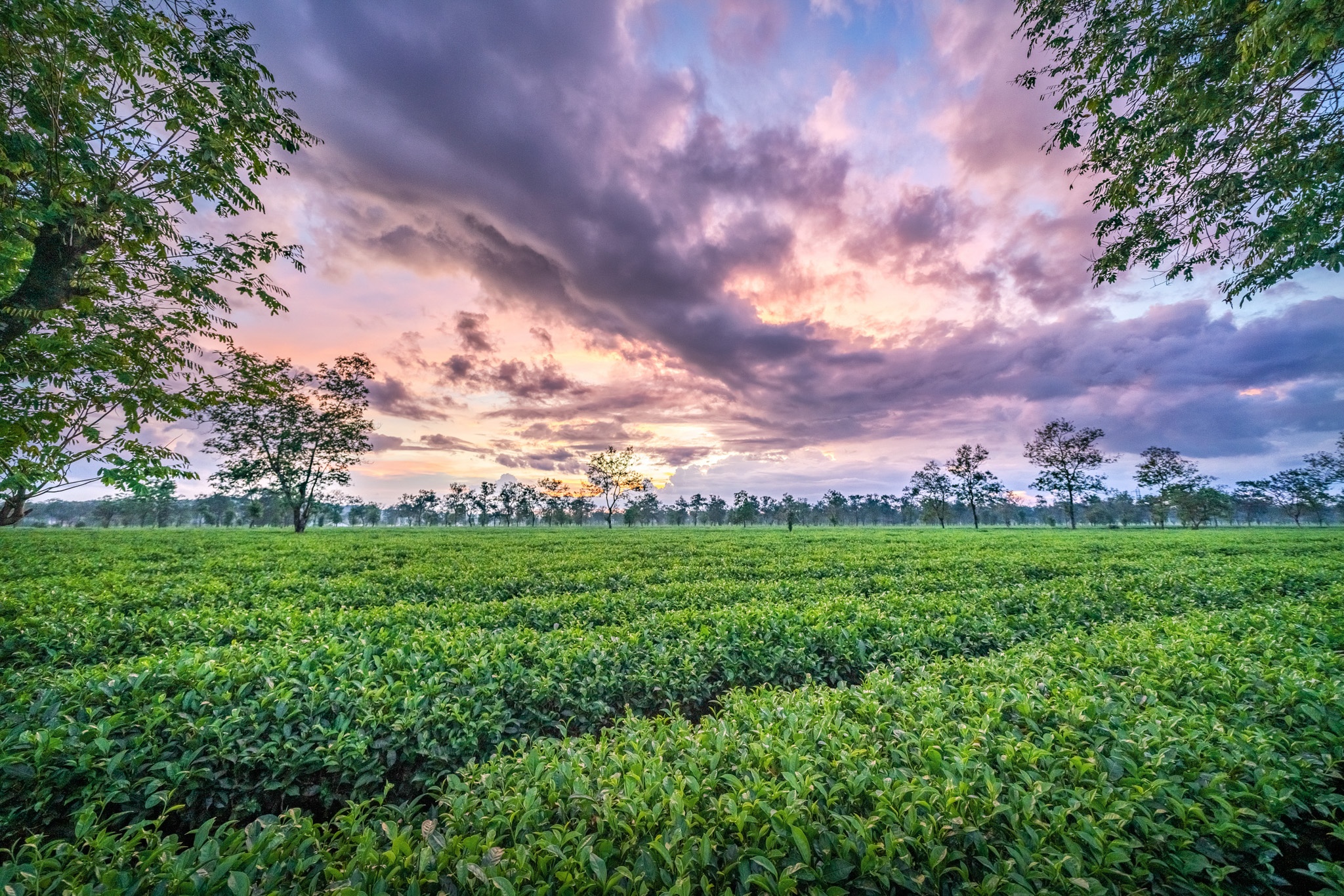 nui rung Tay Nguyen anh 21