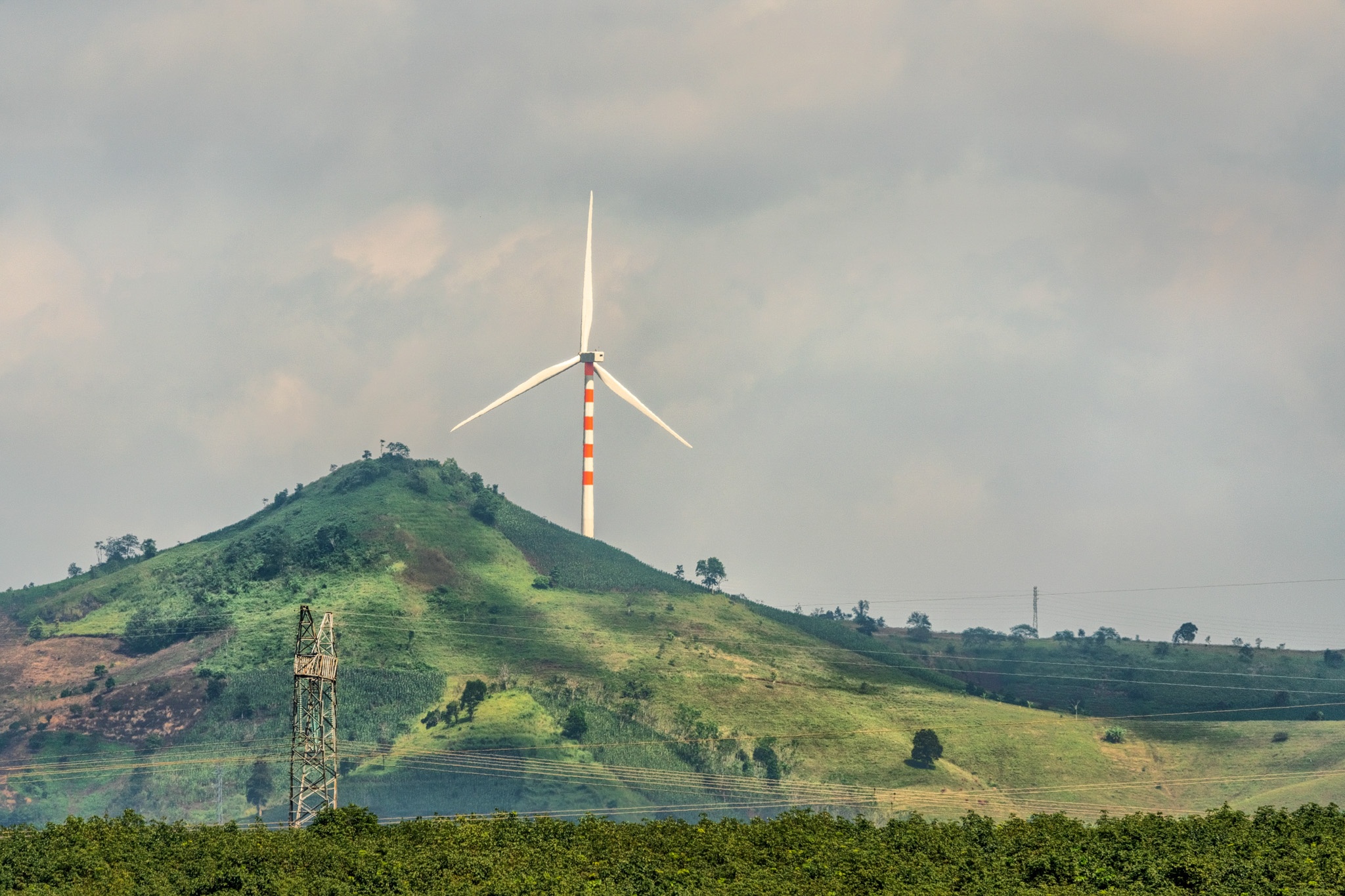 nui rung Tay Nguyen anh 24