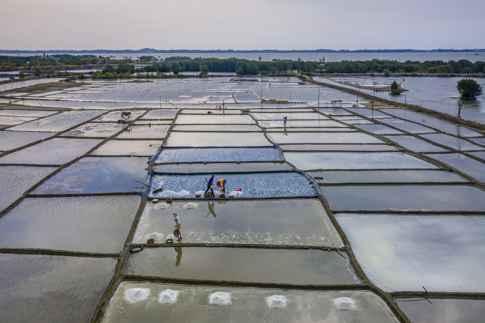 du lich Quy Nhon anh 19