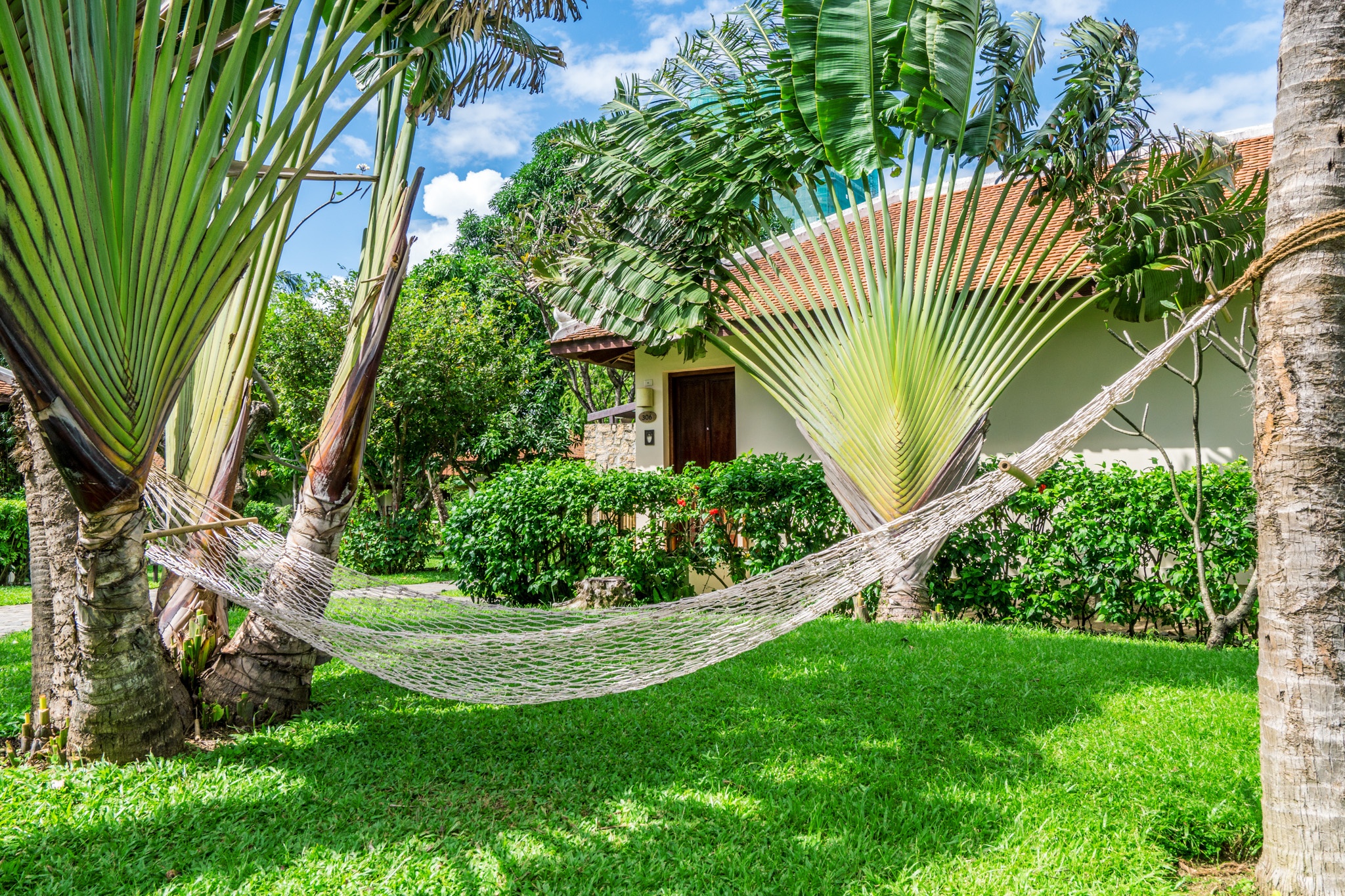 du lich Nha Trang anh 3