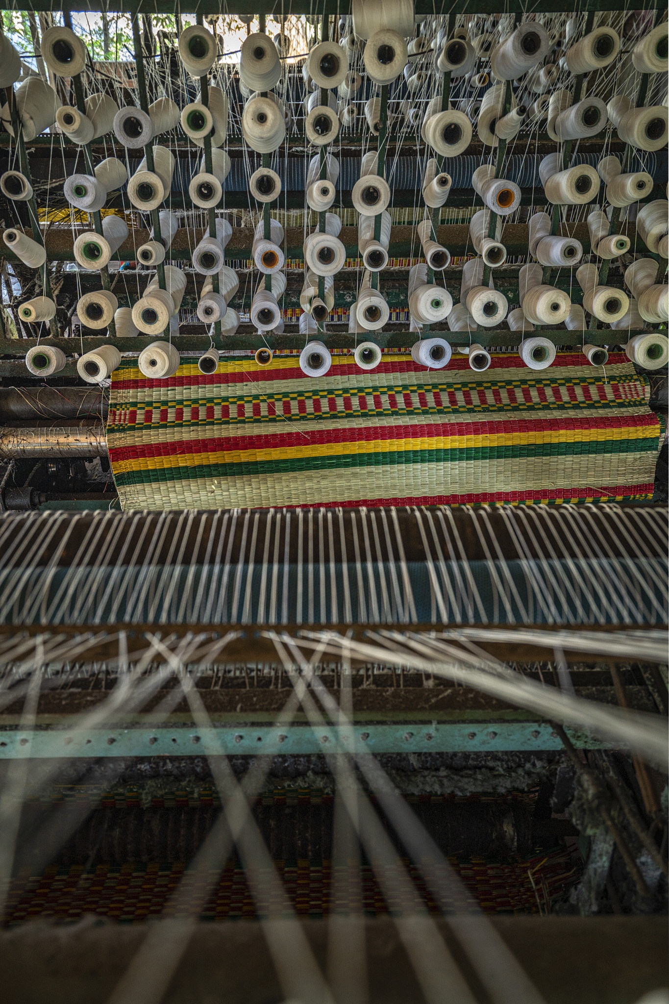 du lich Quy Nhon anh 22