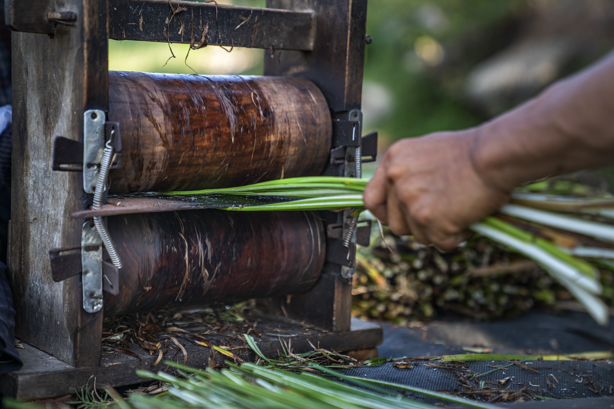 du lich Quy Nhon anh 25