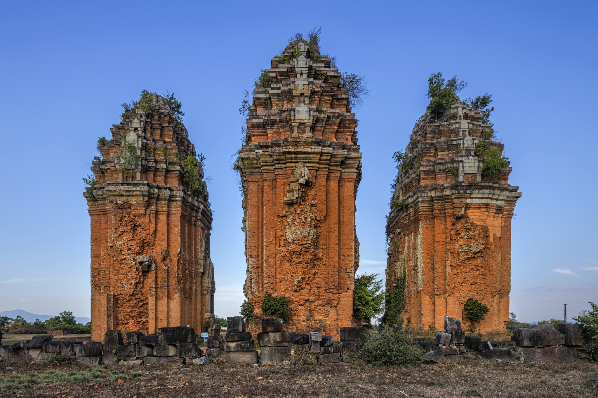 du lich Quy Nhon anh 17