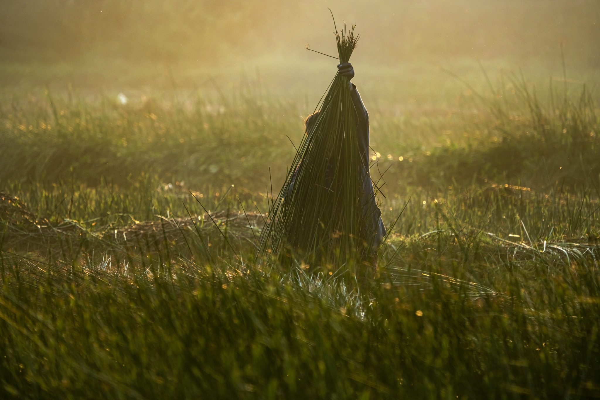 du lich Quy Nhon anh 27