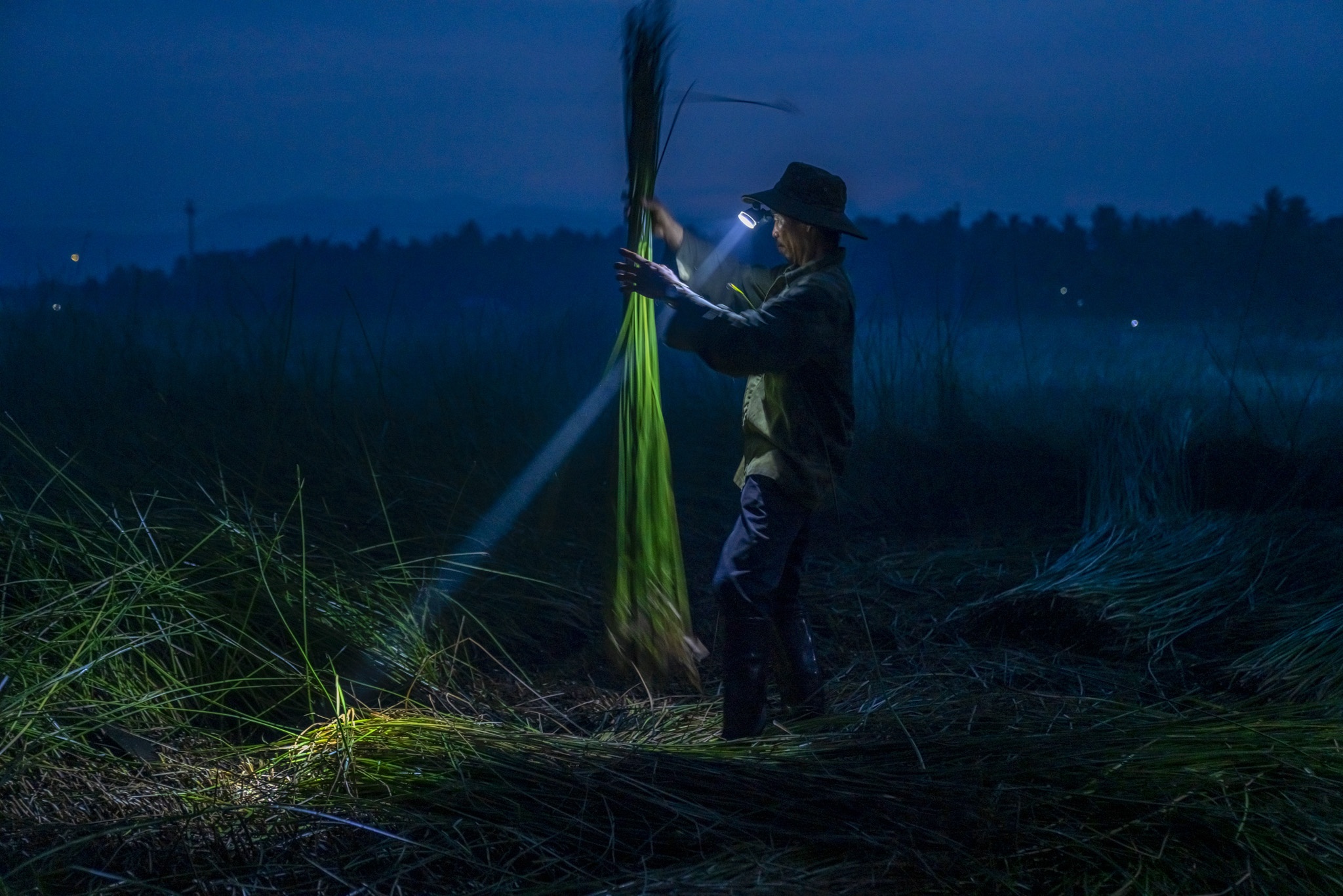 du lich Quy Nhon anh 28