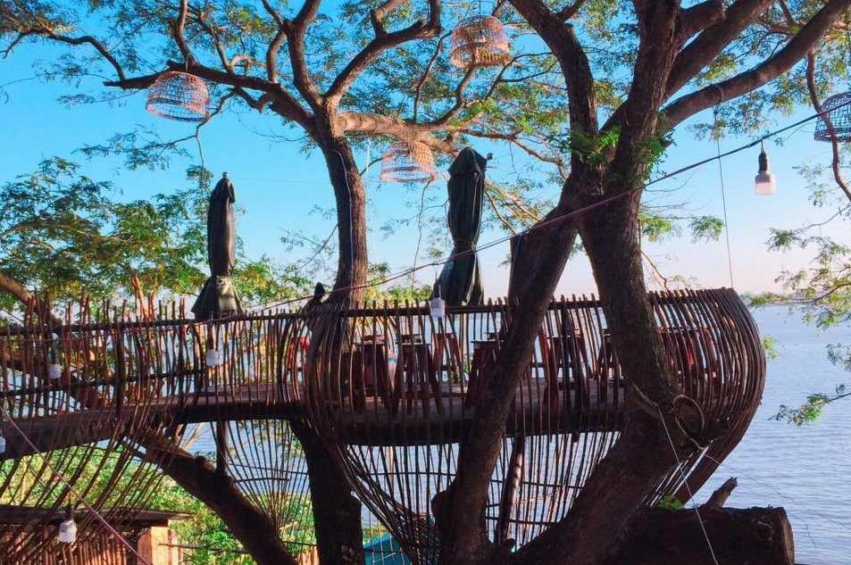 Ca phe tren cay va cac quan co khong gian khac la o Can Tho hinh anh