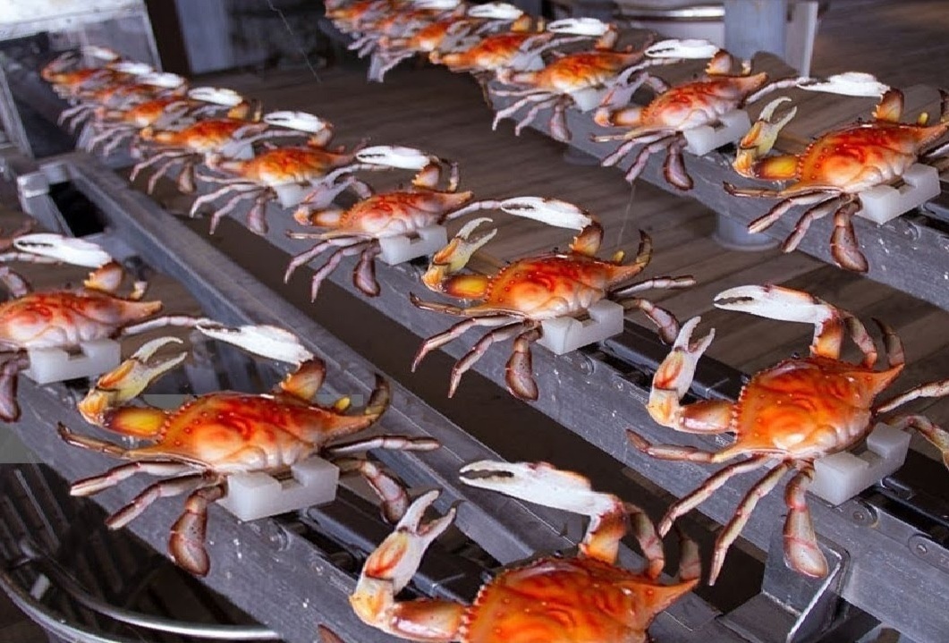 Day chuyen che bien cua hien dai, toc do 45 con/phut hinh anh