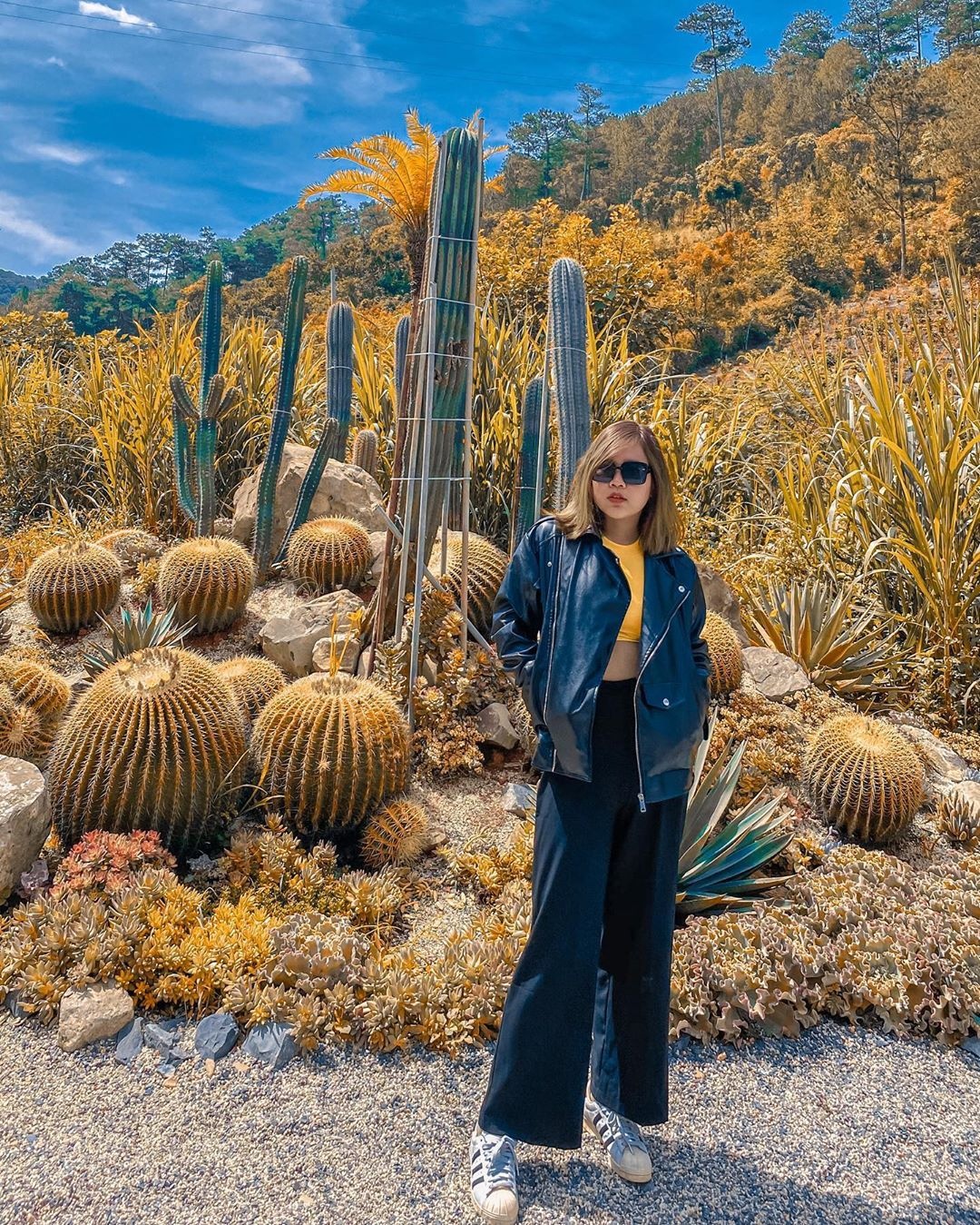 du lịch Đà Lạt ảnh 4 du lich Da Lat anh 4