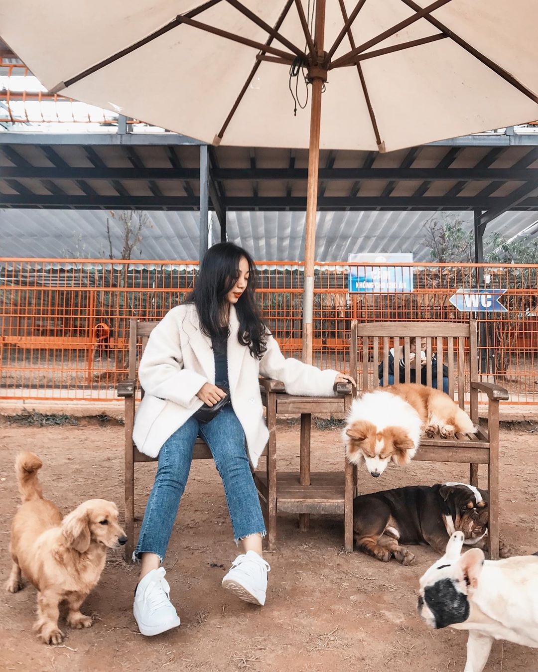 du lịch Đà Lạt ảnh 7 du lich Da Lat anh 7