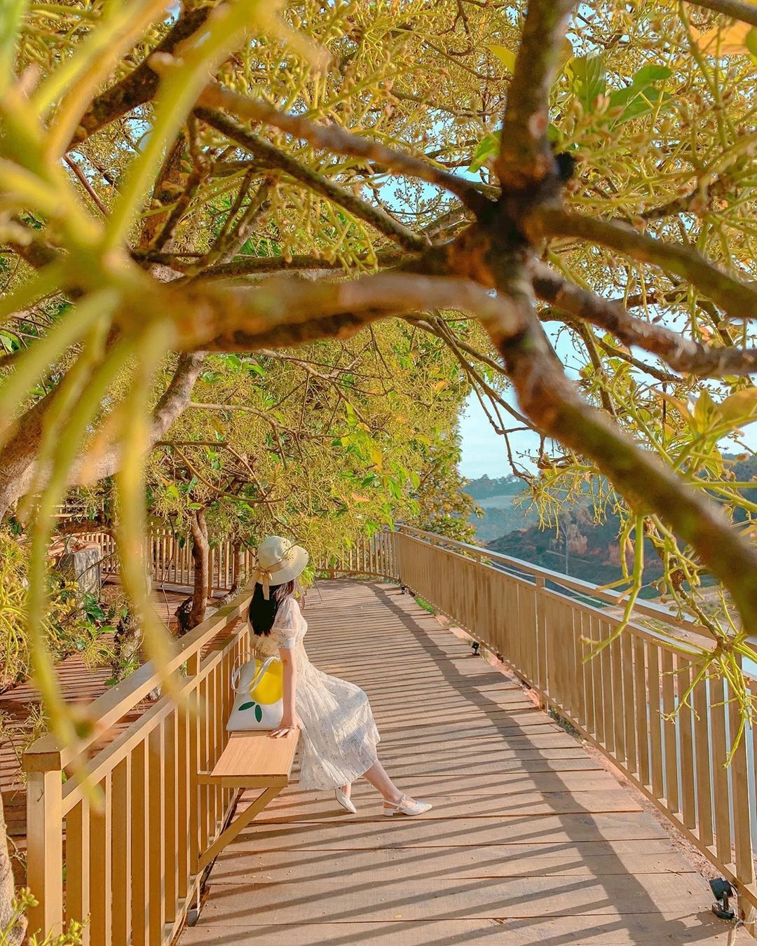 du lịch Đà Lạt ảnh 13 du lich Da Lat anh 13