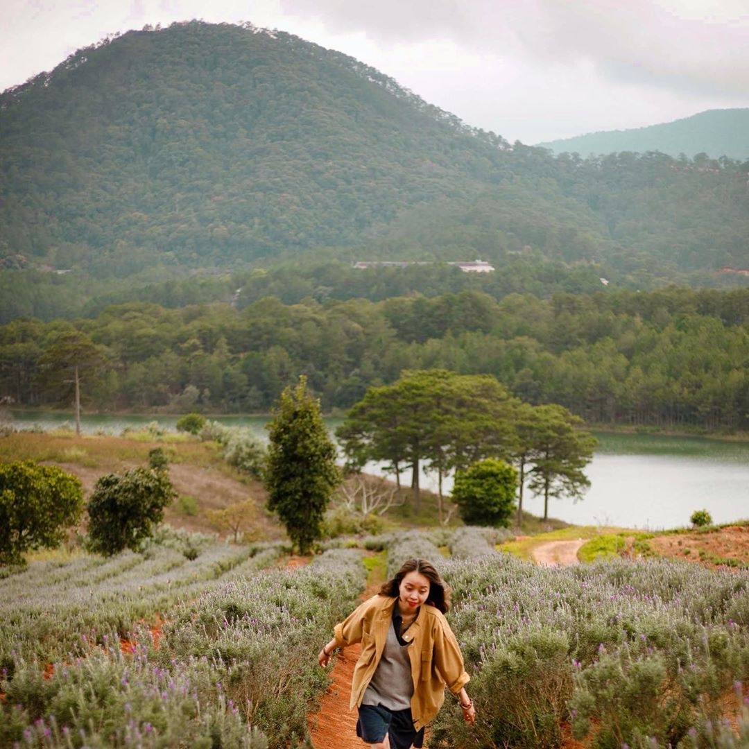 du lịch Đà Lạt ảnh 5 du lich Da Lat anh 5