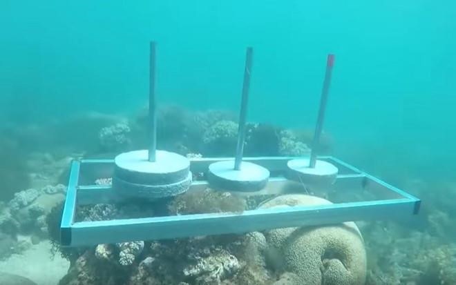 Quang Vinh bi chi trich anh 3