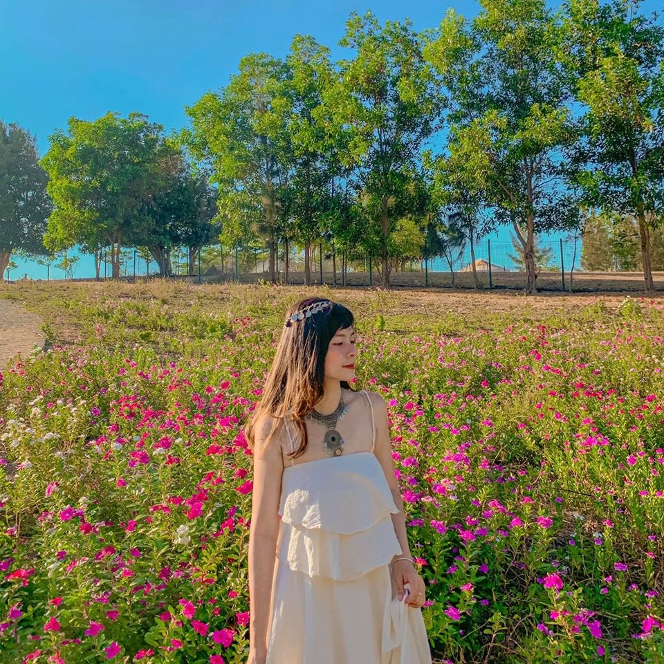 du lịch Ninh Thuận 3 ngày 2 đêm ảnh 8 du lich Ninh Thuan 3 ngay 2 dem anh 8