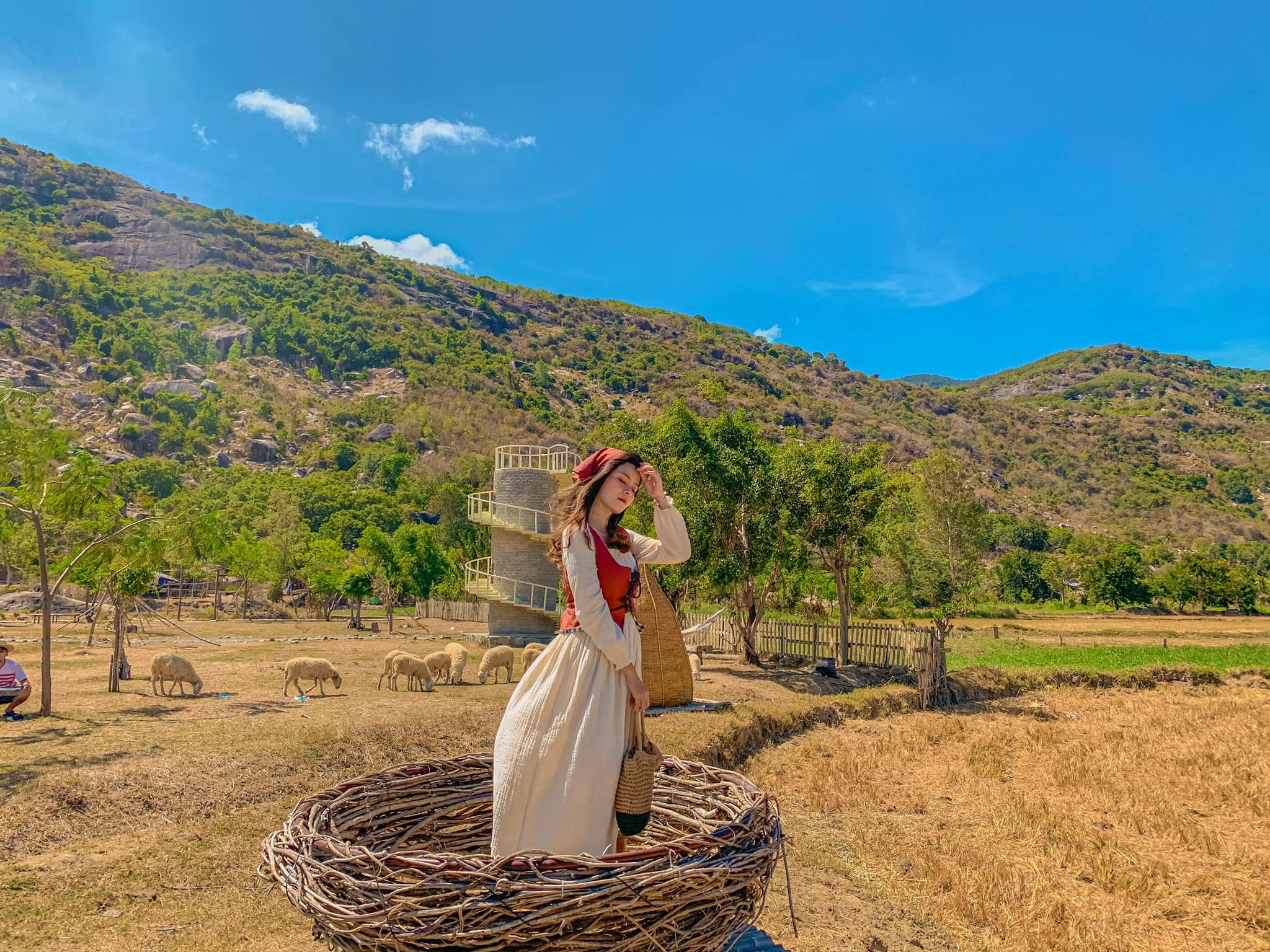 du lịch Ninh Thuận 3 ngày 2 đêm ảnh 13 du lich Ninh Thuan 3 ngay 2 dem anh 13