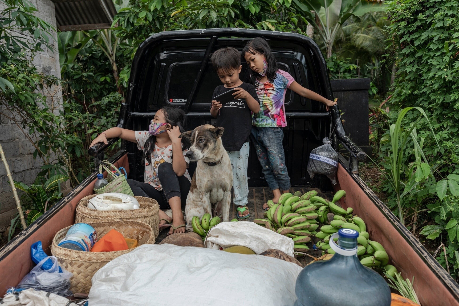 Bali lao dao vi Covid-19, nhan vien khach san ve lam nong, bat ngao hinh anh