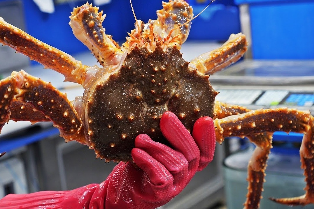 Sashimi cua hoang de duoc che bien nhu the nao? hinh anh