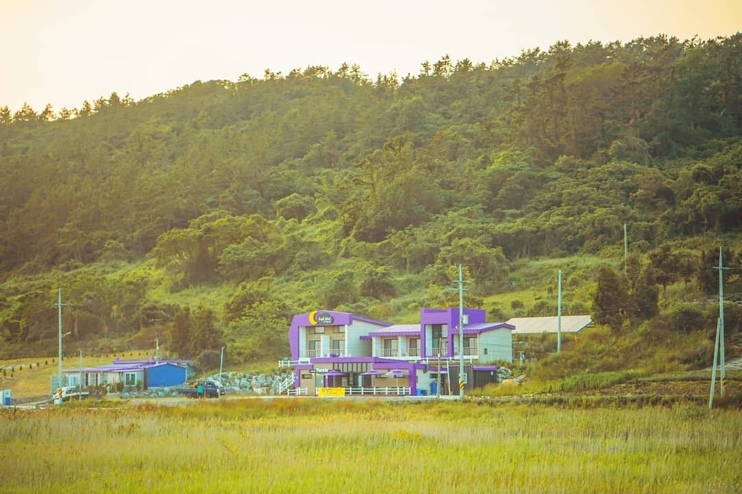 dao mau tim o Han Quoc anh 14