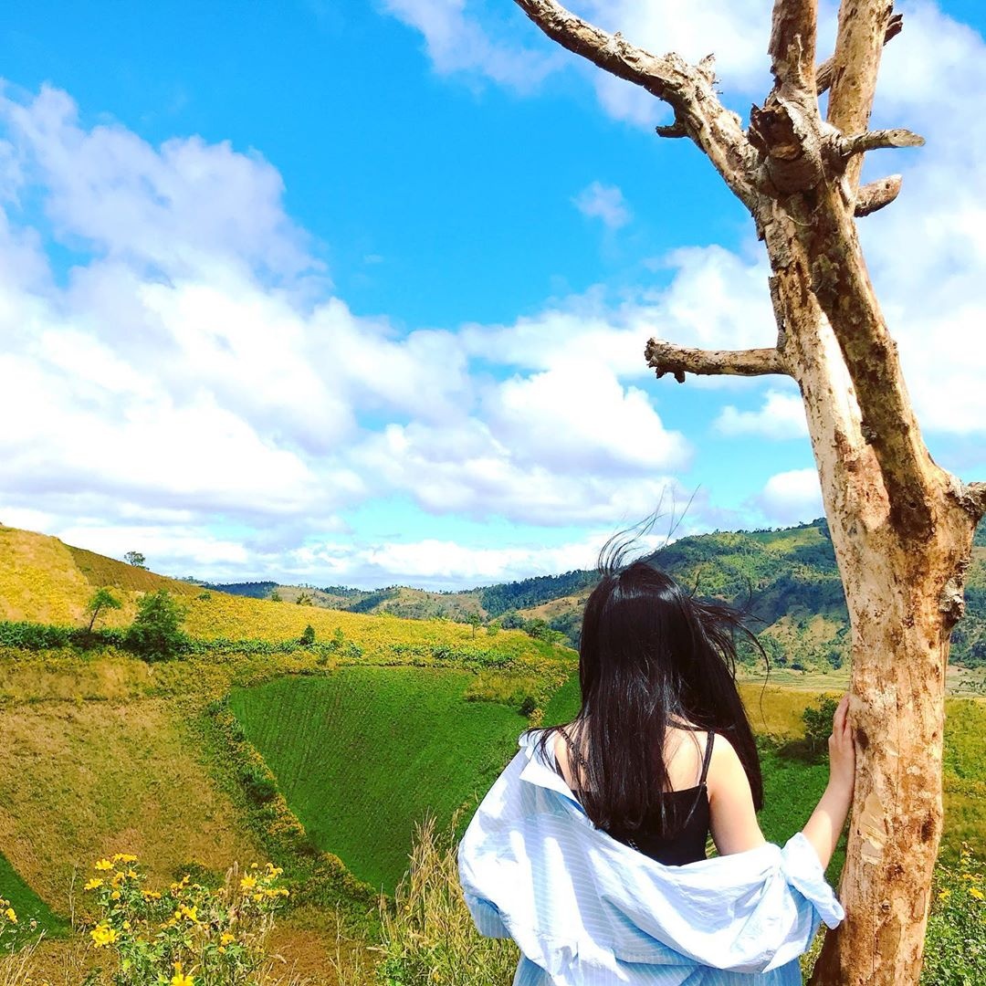 cung đường đẹp ở Tây Nguyên ảnh 6 cung duong dep o Tay Nguyen anh 6