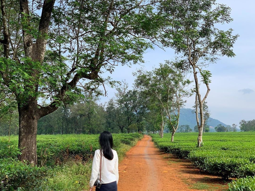 cung đường đẹp ở Tây Nguyên ảnh 8 cung duong dep o Tay Nguyen anh 8