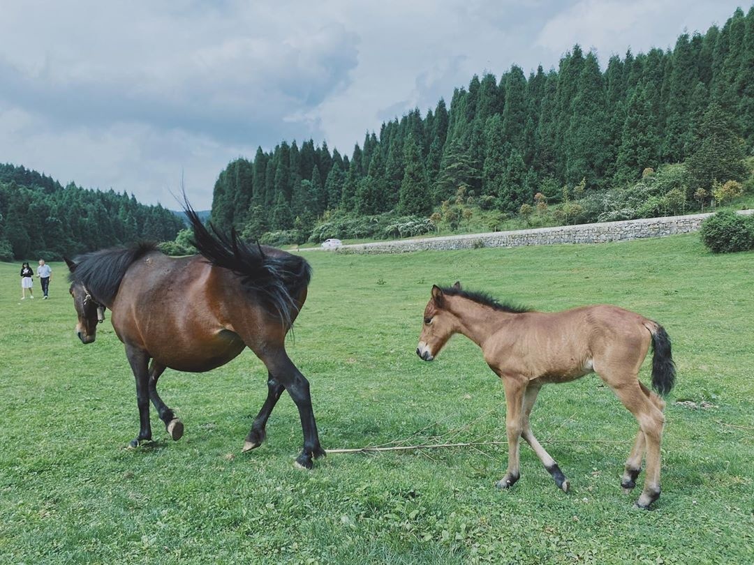 Doan duong nhap nho nhu luon song anh 4