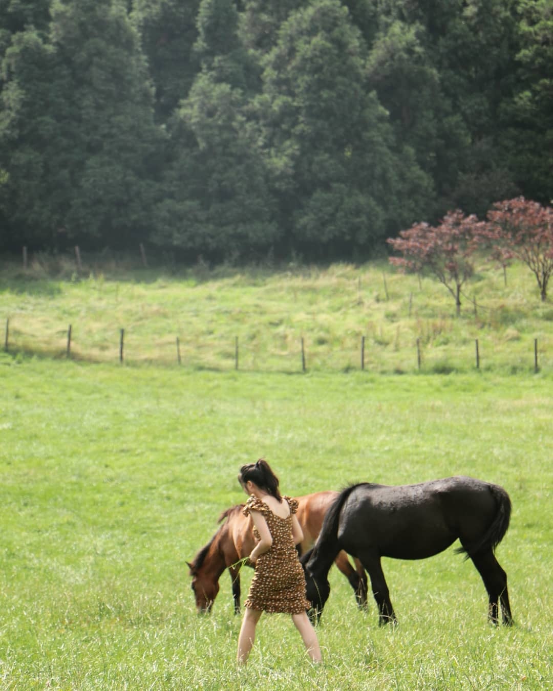 Doan duong nhap nho nhu luon song anh 5