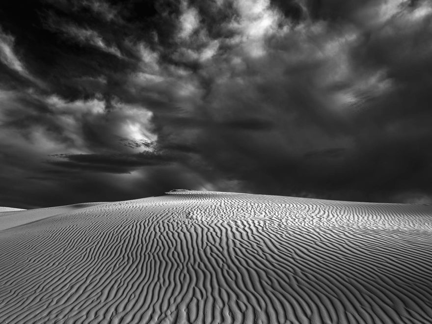 anh dong vat hoang da anh 14