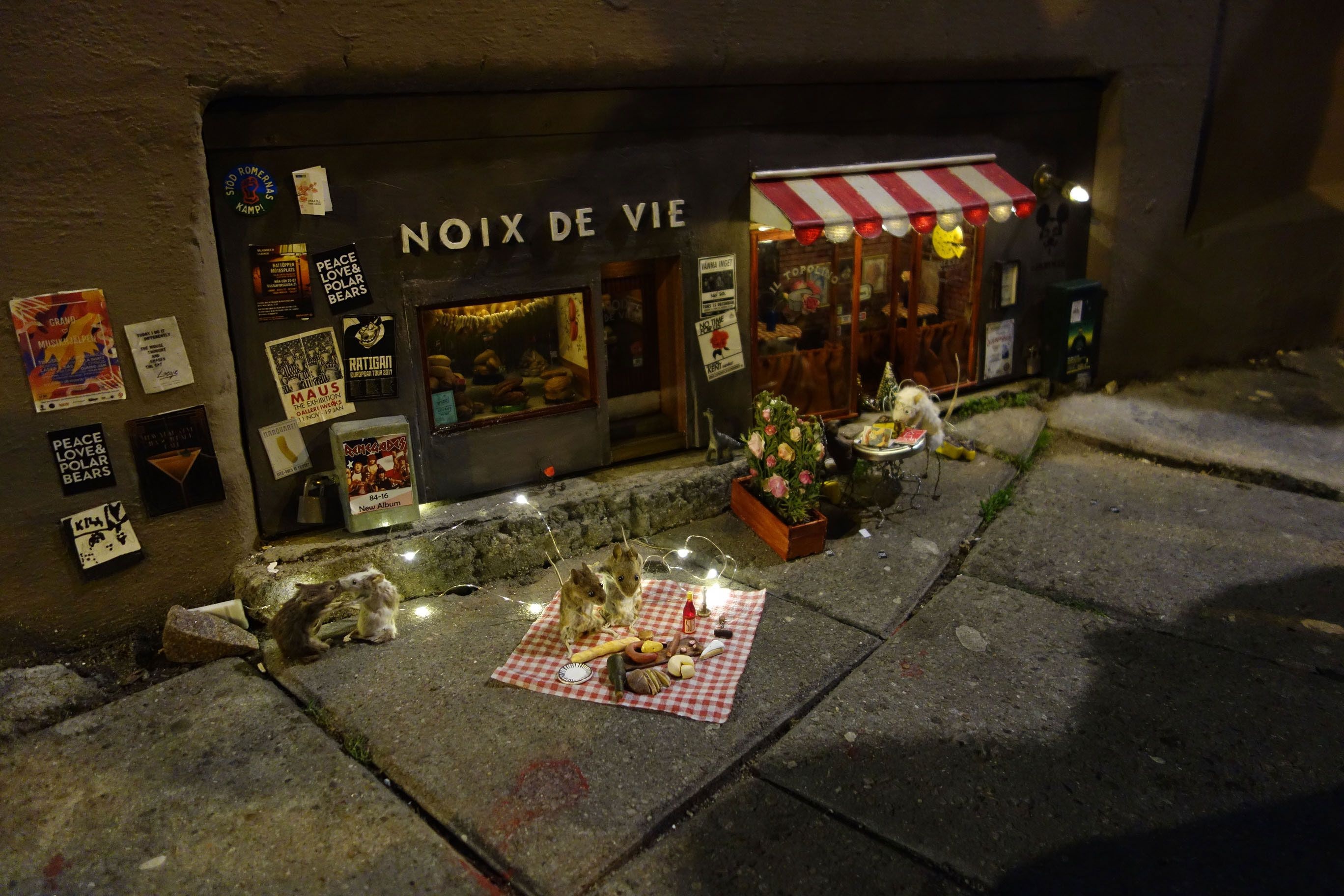 The gioi song song cho loai chuot anh 9