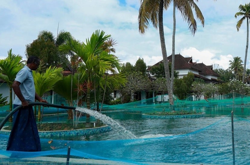 Khu nghi duong An Do bien ho boi thanh be nuoi ca hinh anh