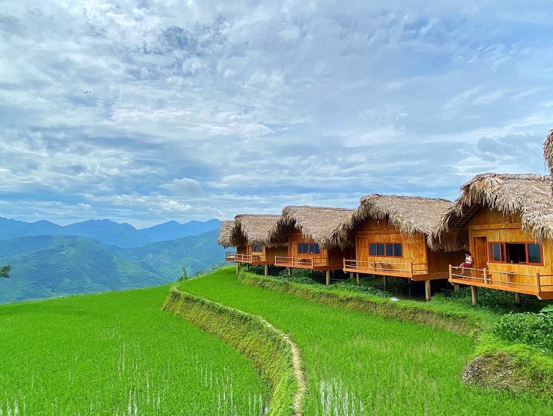 mua vang Tay Bac anh 8