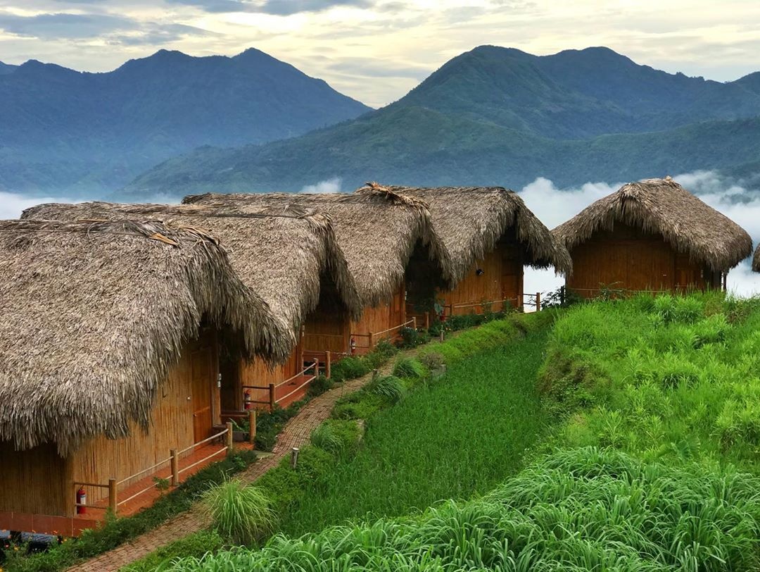 mua vang Tay Bac anh 7