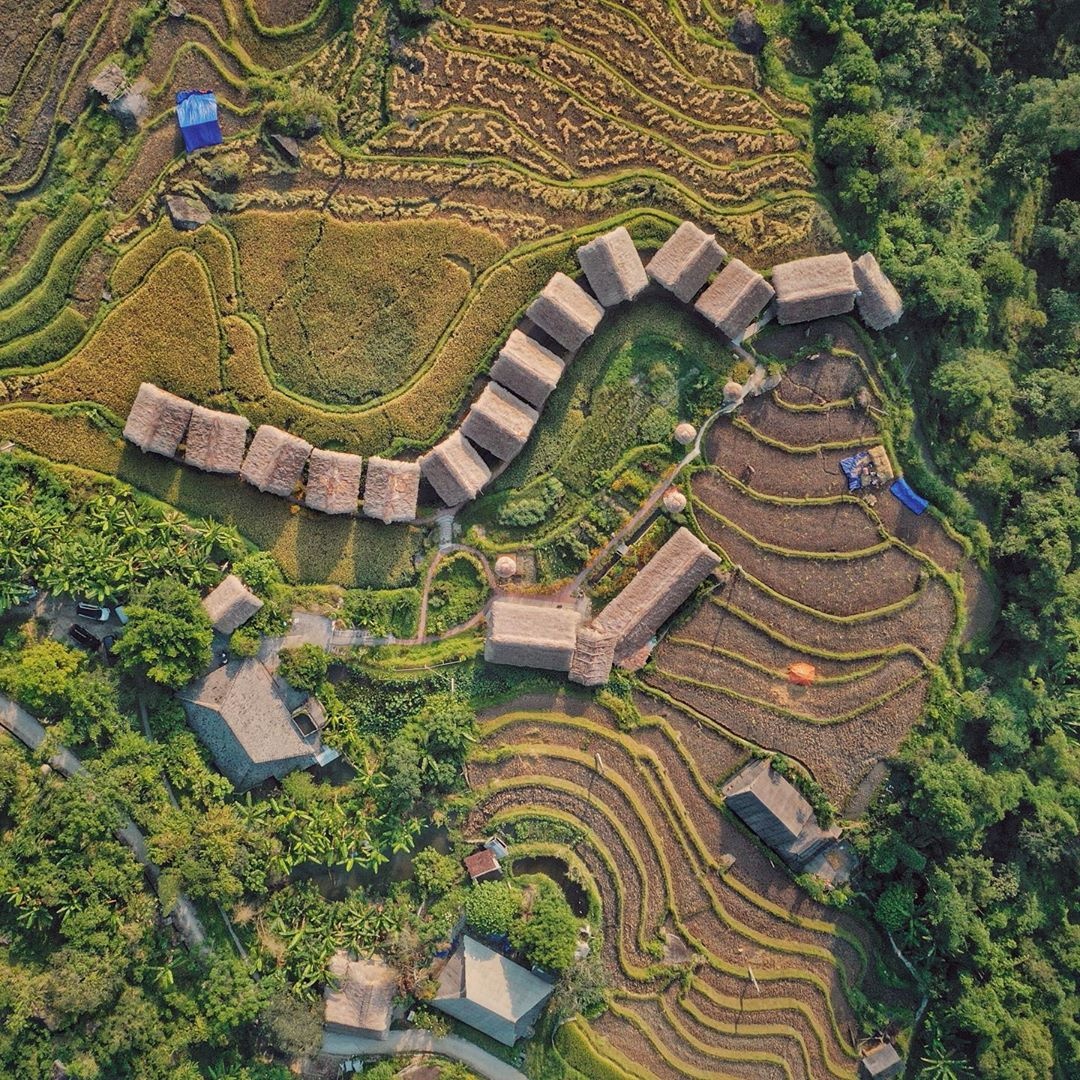 mua vang Tay Bac anh 6