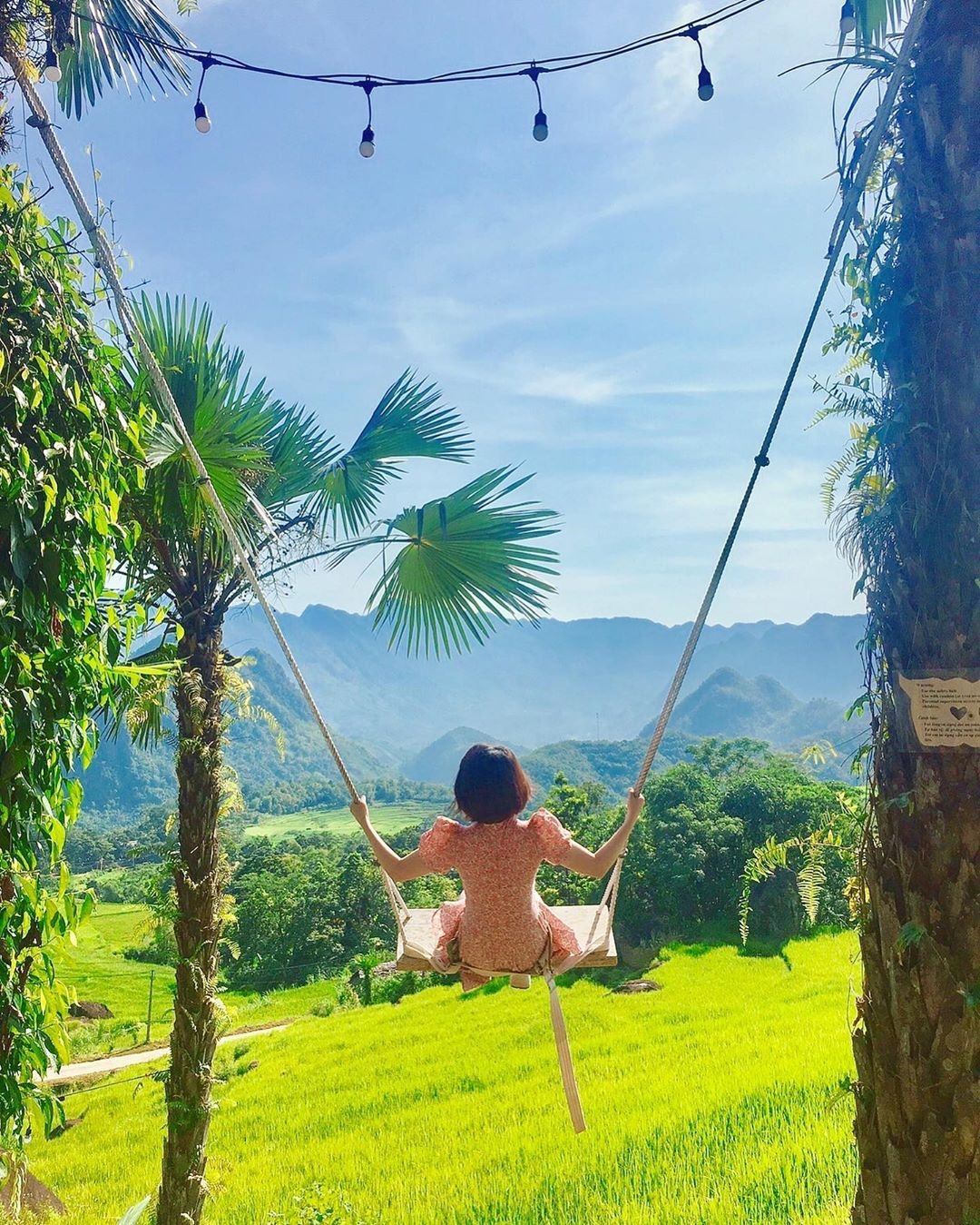 diem ngam lua chin o mien Bac anh 7