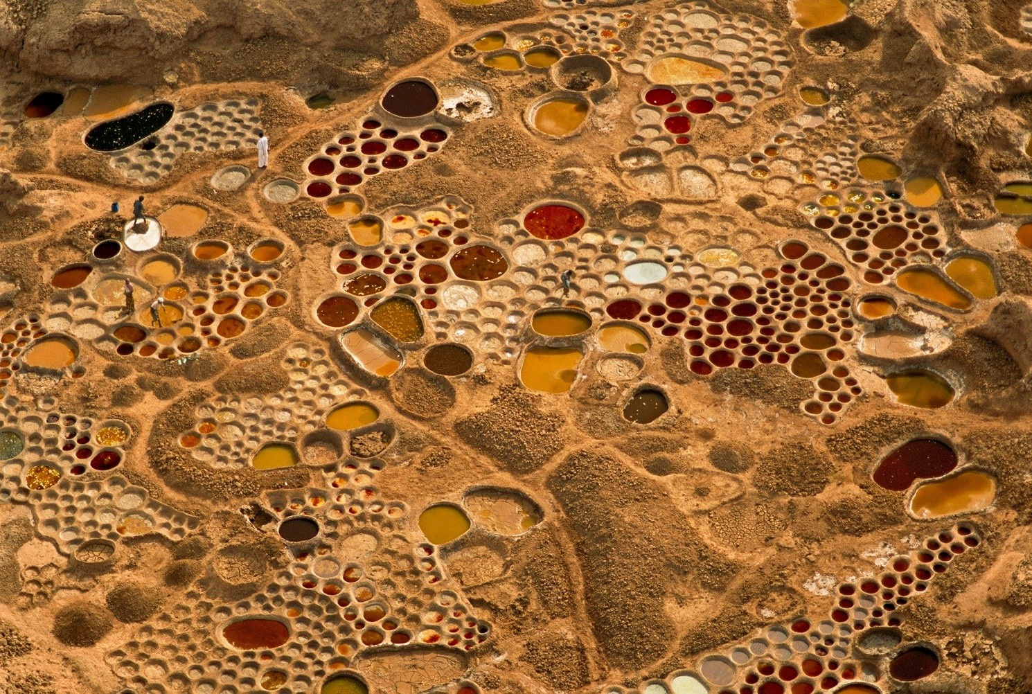 Noi nguoi dan lam muoi tu dat set hinh anh