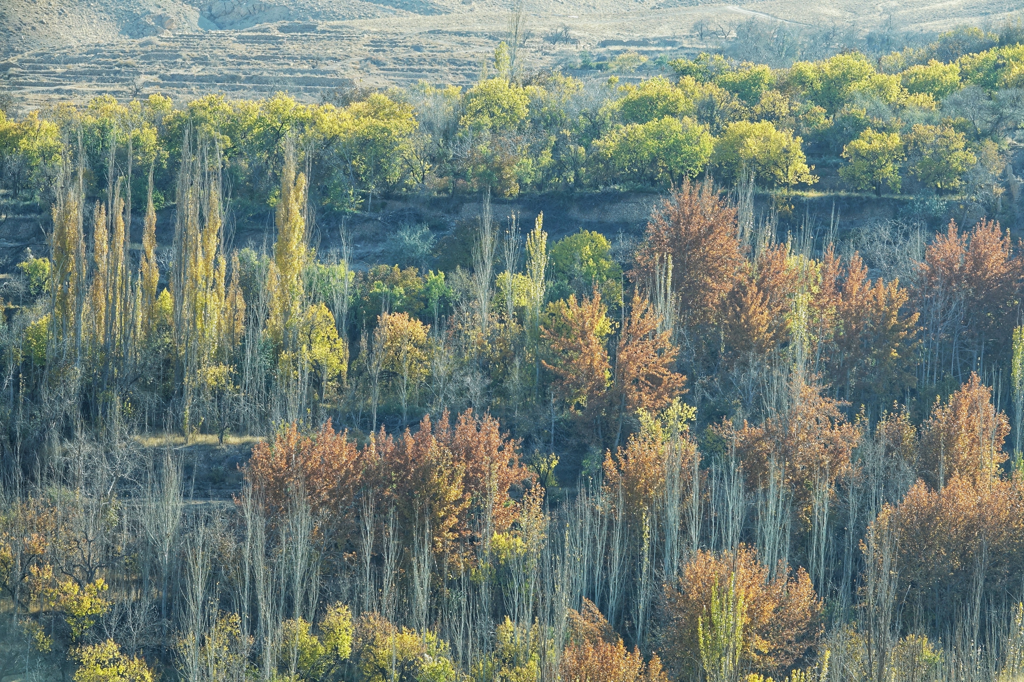 mua thu o Iran anh 2