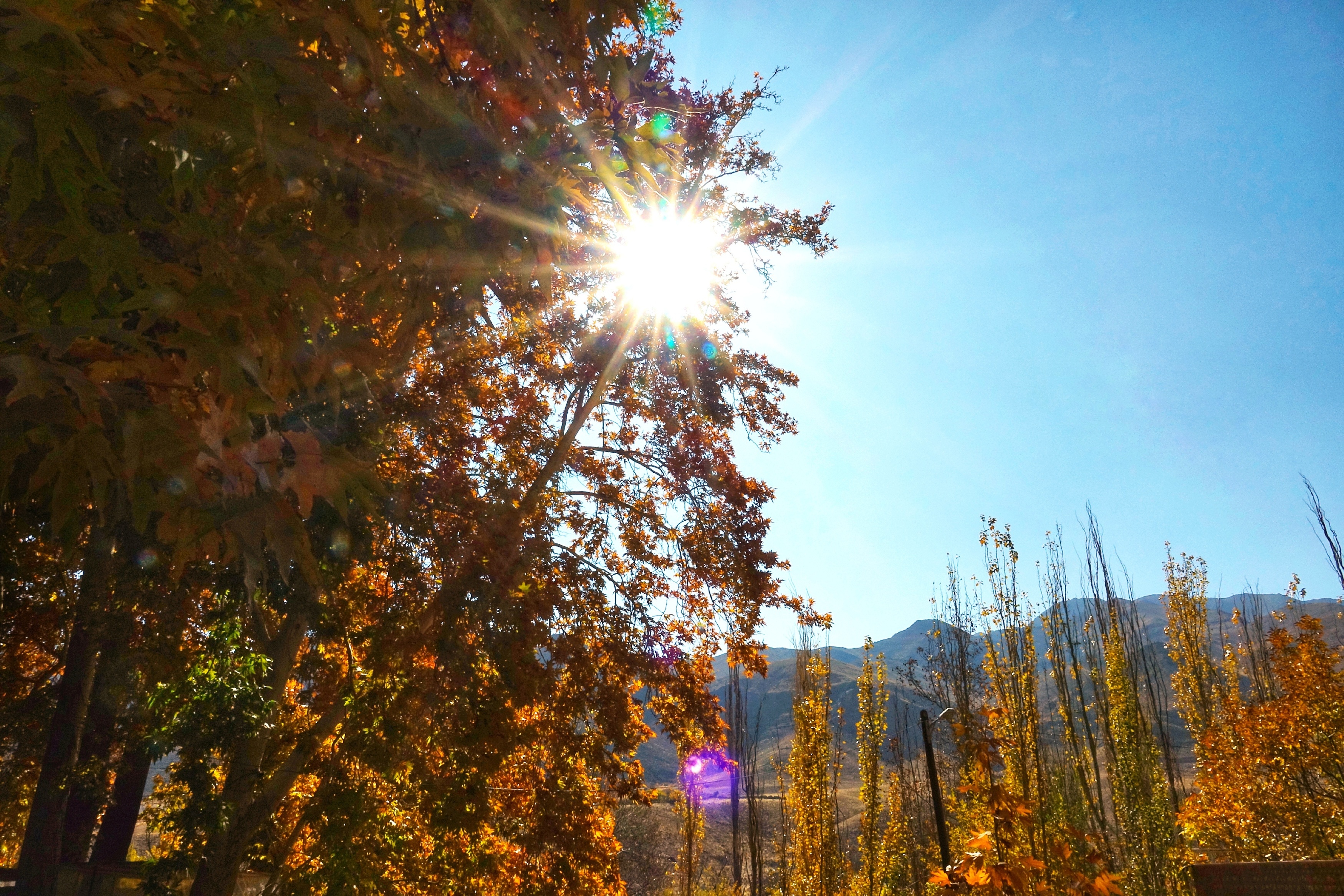 mua thu o Iran anh 6