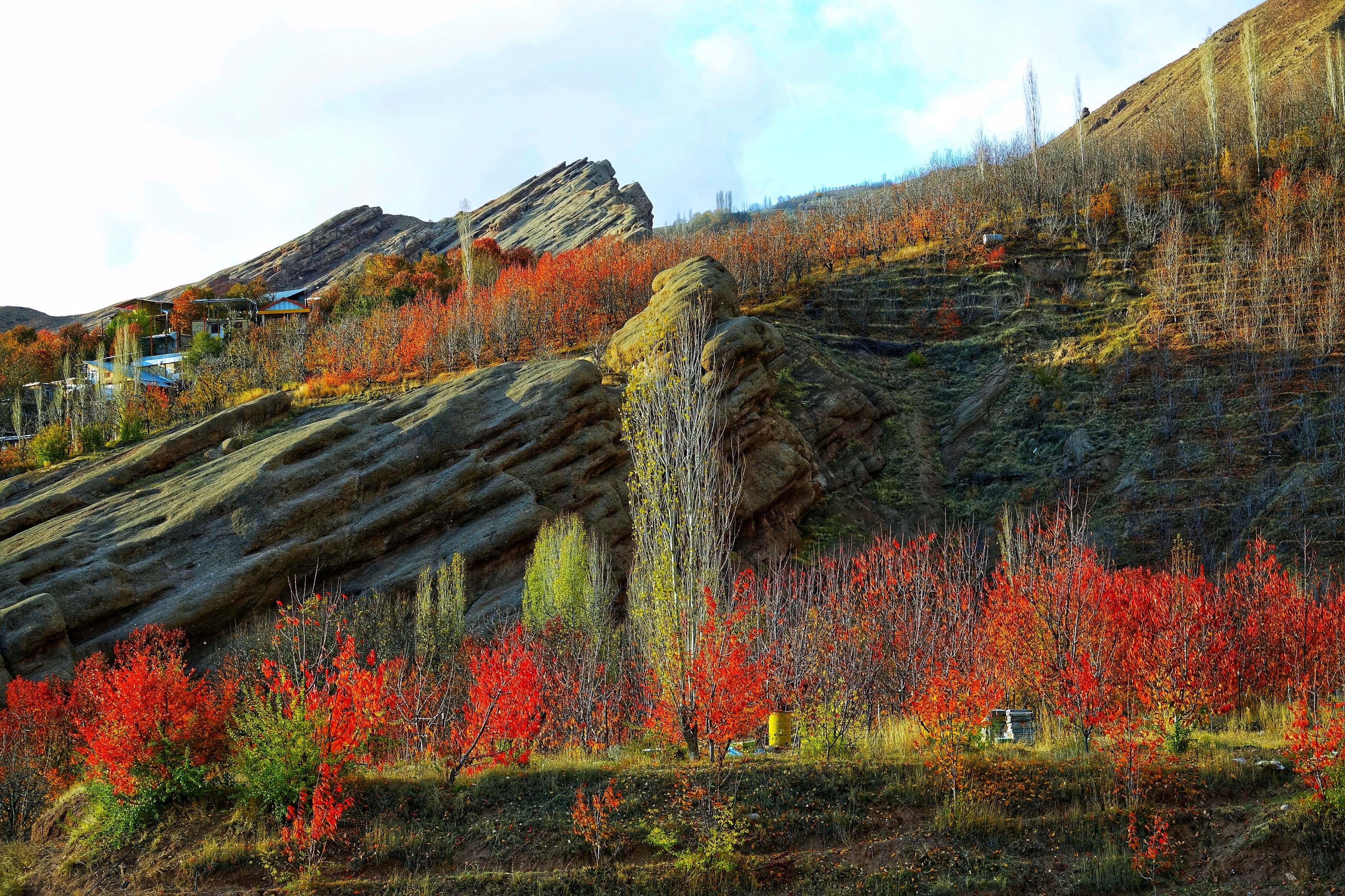 mua thu o Iran anh 19