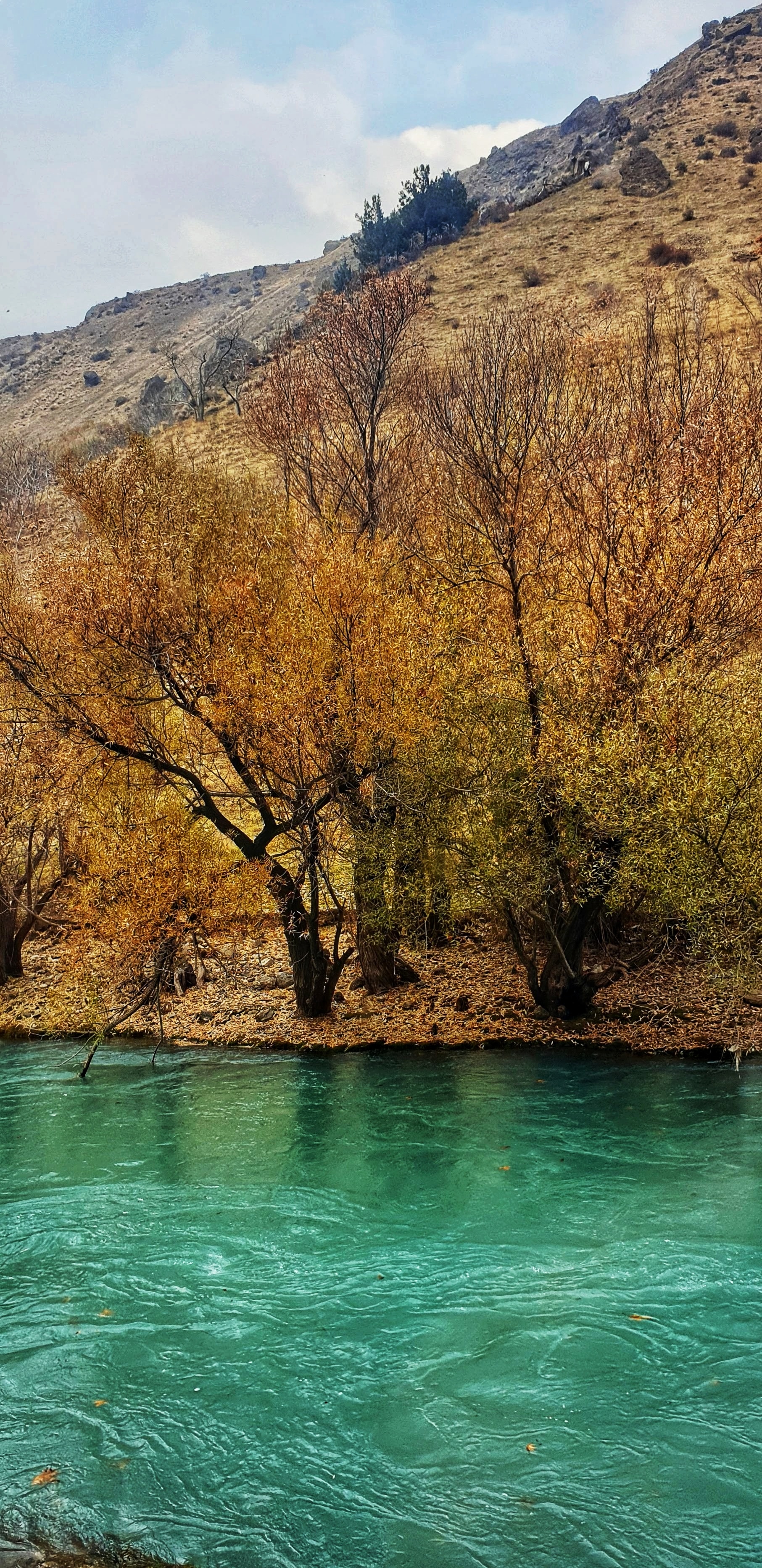 mua thu o Iran anh 10