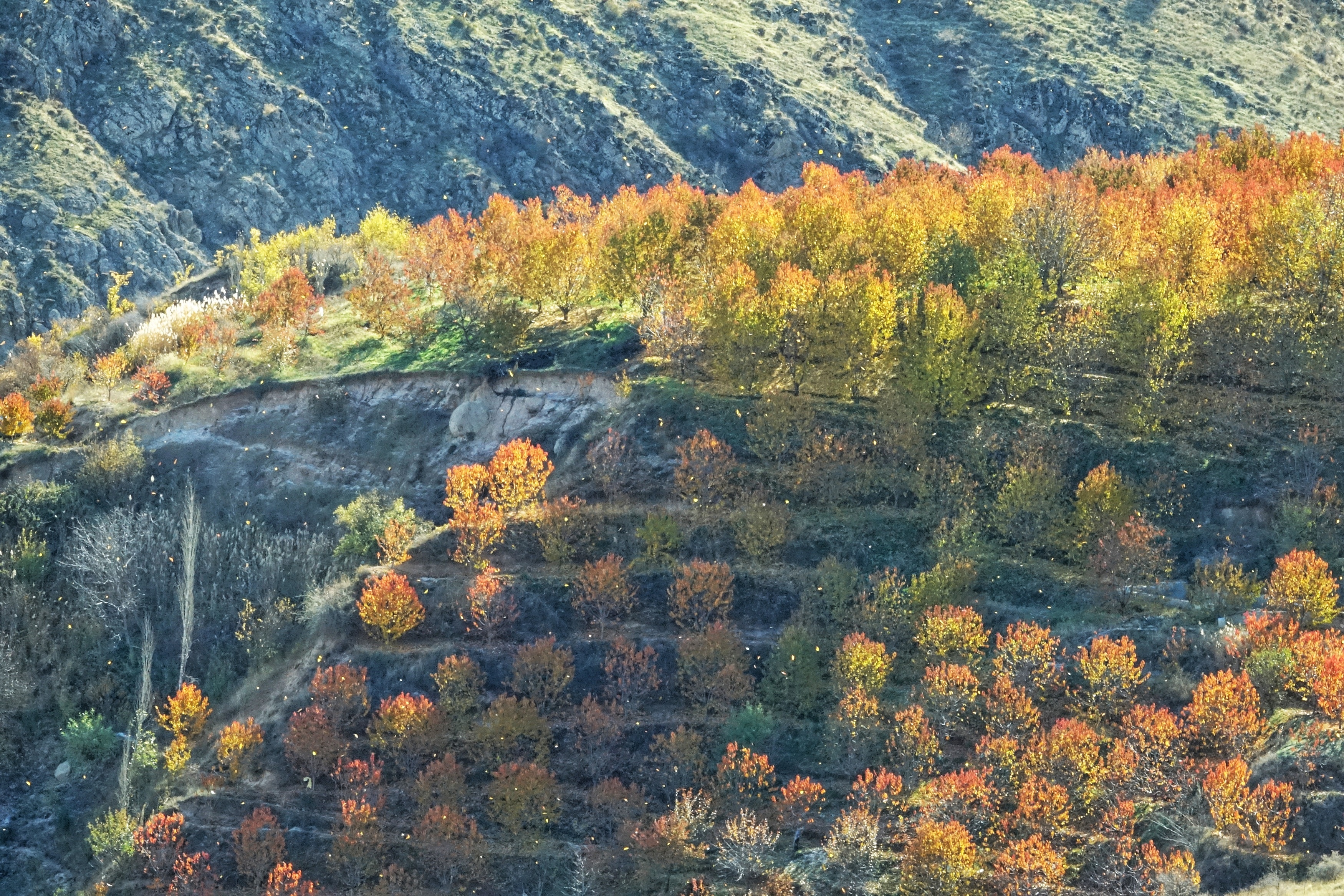 mua thu o Iran anh 21