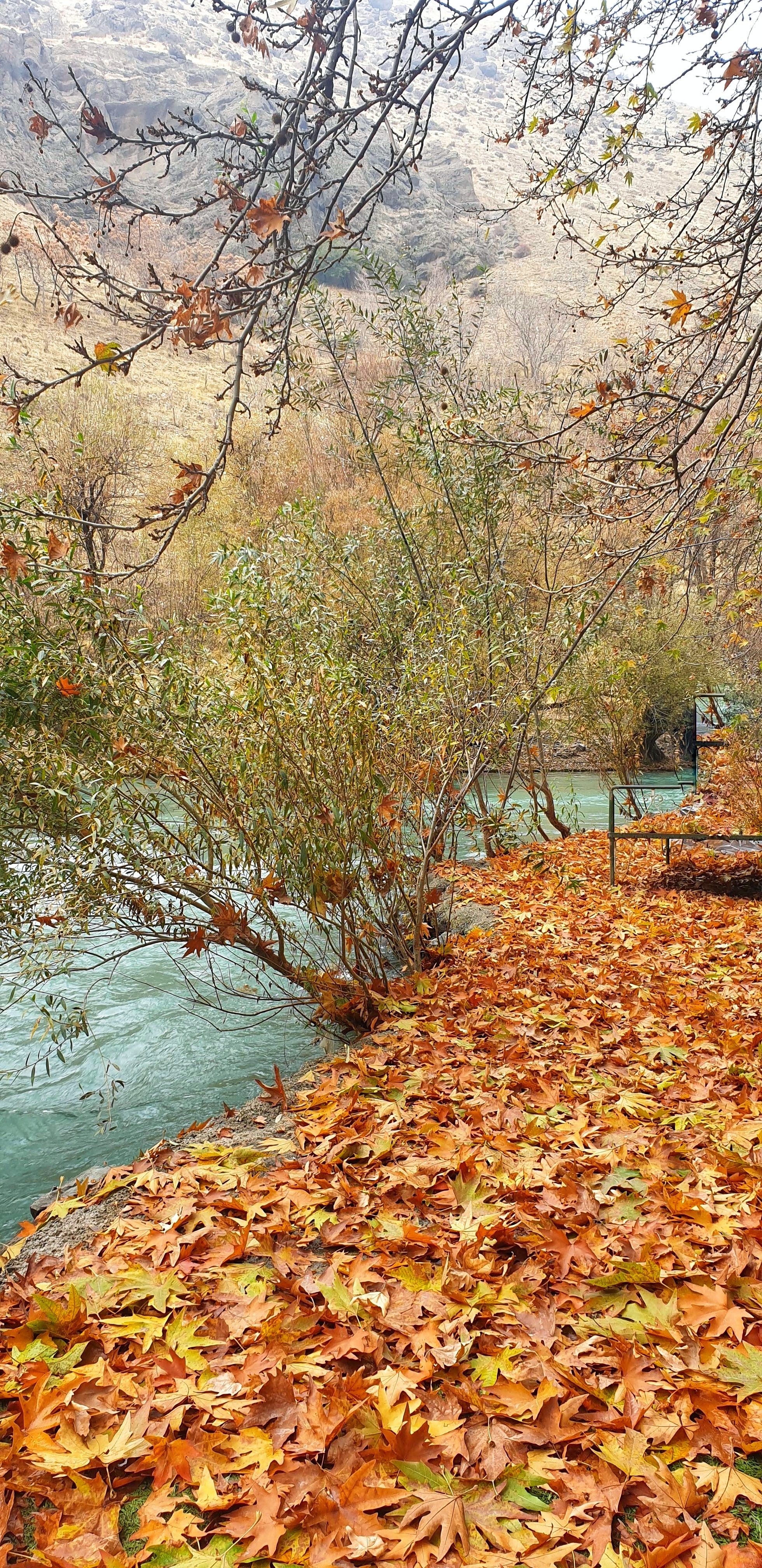 mua thu o Iran anh 9