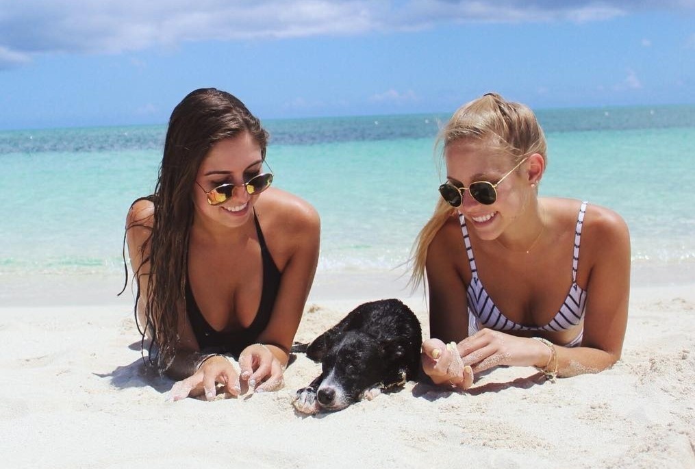 Dao danh cho nhung nguoi yeu cho o Caribbean hinh anh